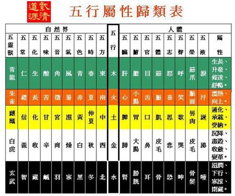 個人五行屬性查詢|八字計算器：改運必備